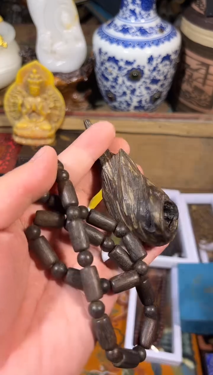 黄杨木111111111111111