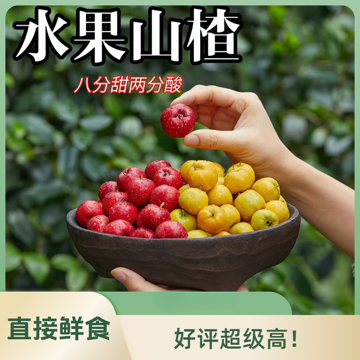 京东包邮红黄甜山楂现摘新鲜果甜红子金如意口感独特产地直发