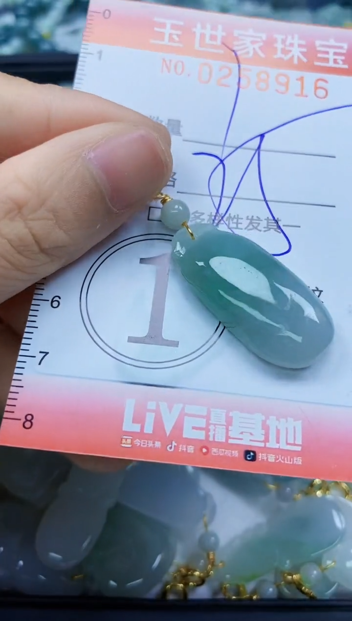 翡翠未镶嵌颈饰闪购0258916