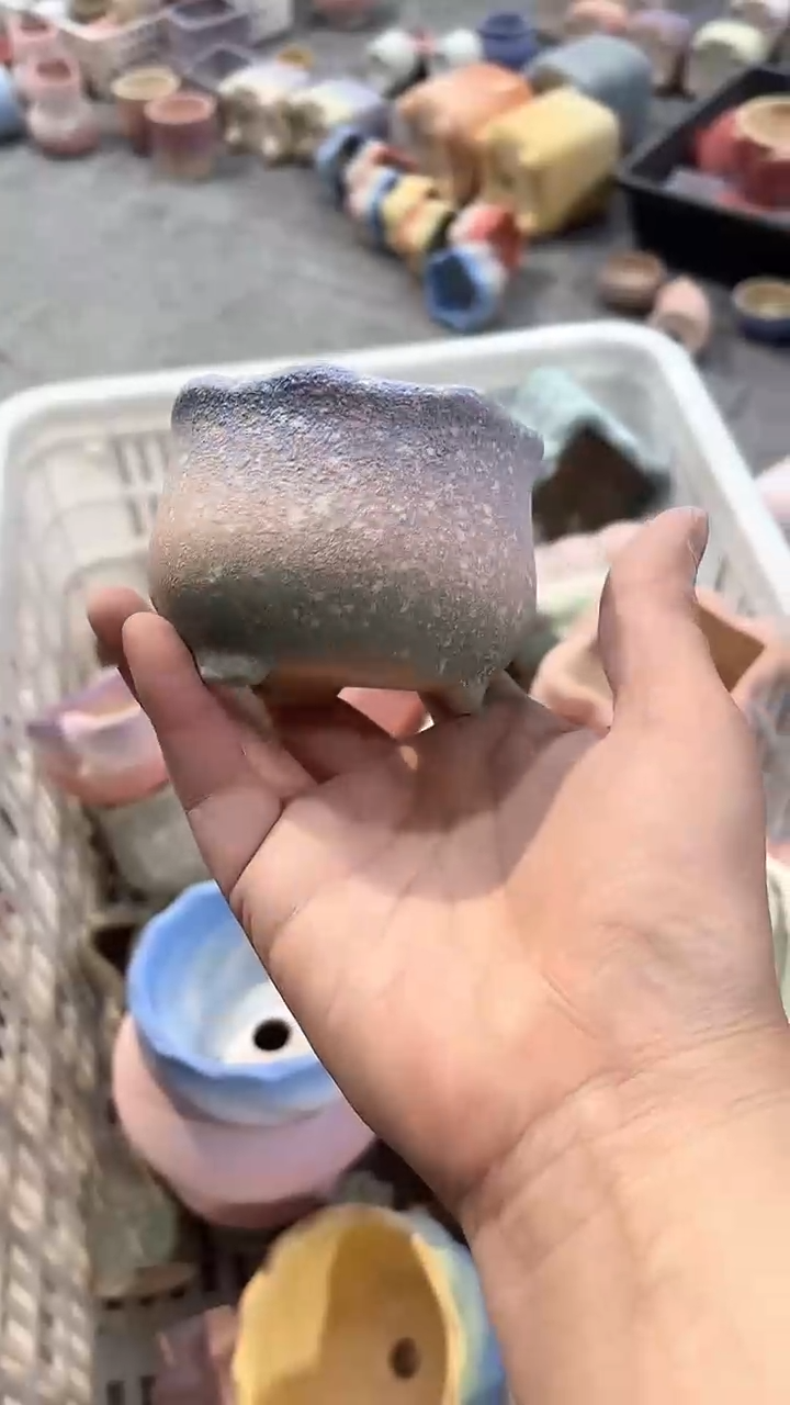  茵茵的欧气花园6*5