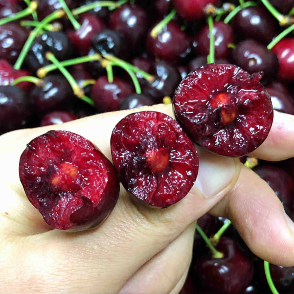 【陈灵岳甄选】龙脉3JD智利海运阿雅娜车厘子 净重5斤 内附果径卡