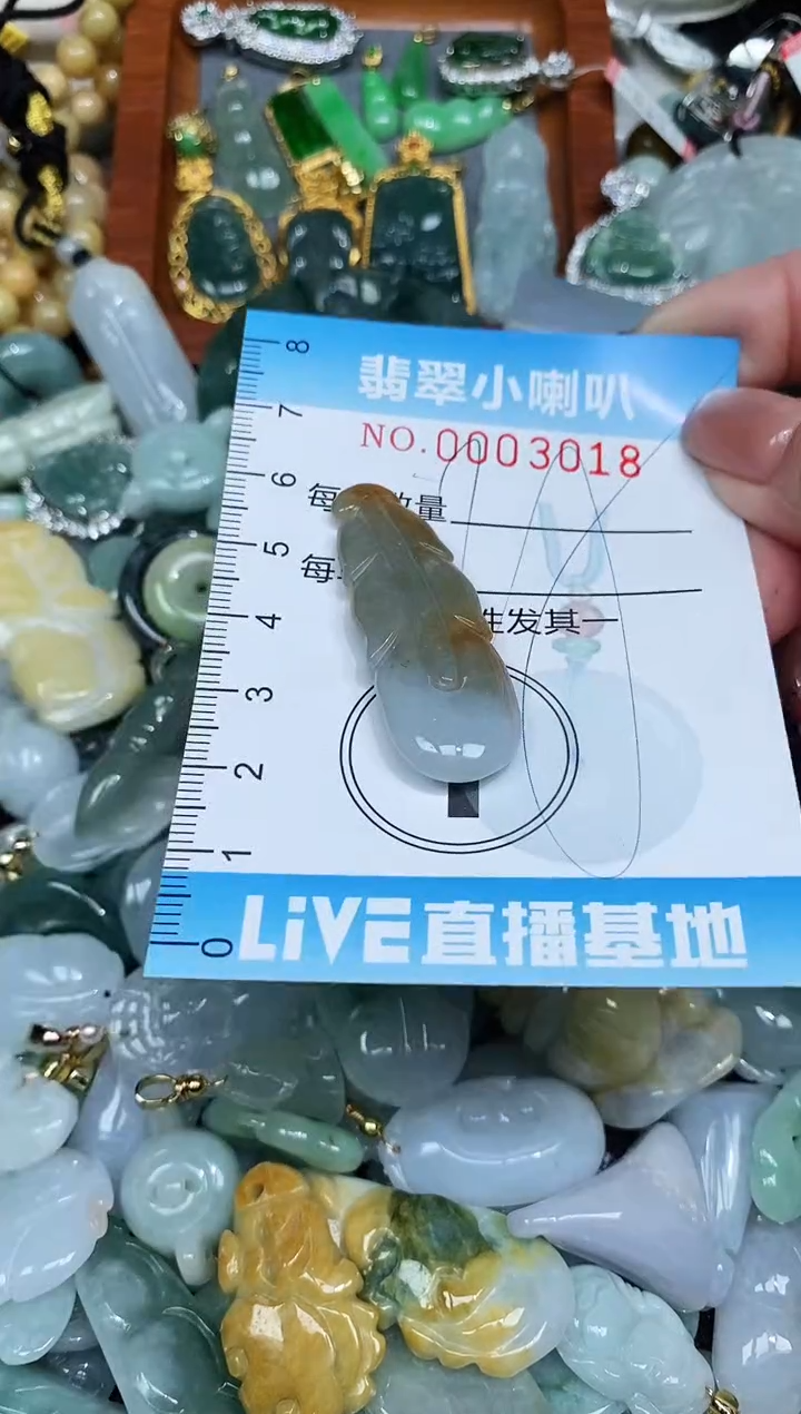 【闪购商品】翡翠颈饰未镶嵌闪购0003018