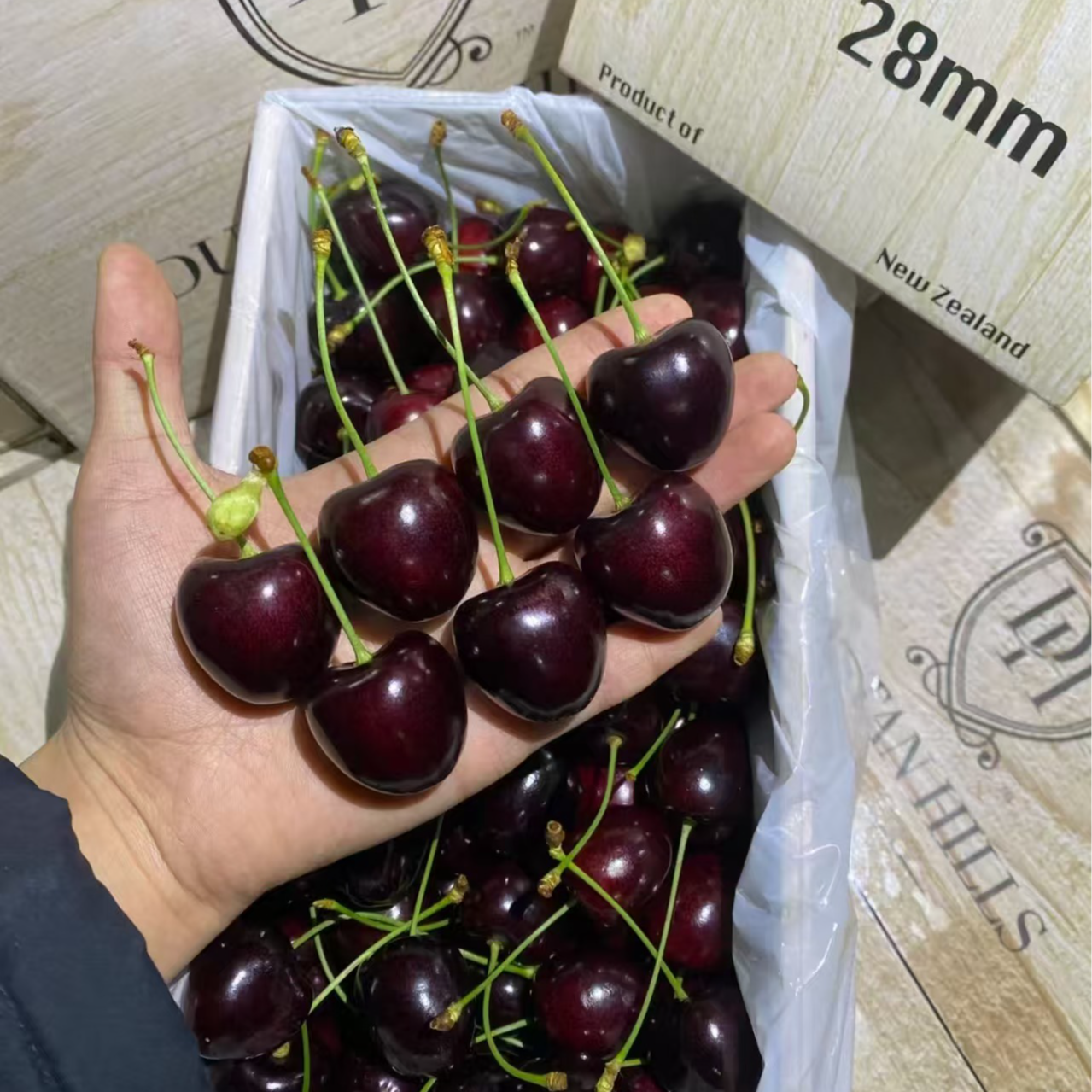 【军仔1】科迪亚智利车厘子新鲜水果5斤礼盒2J-3J海运 内附果径卡