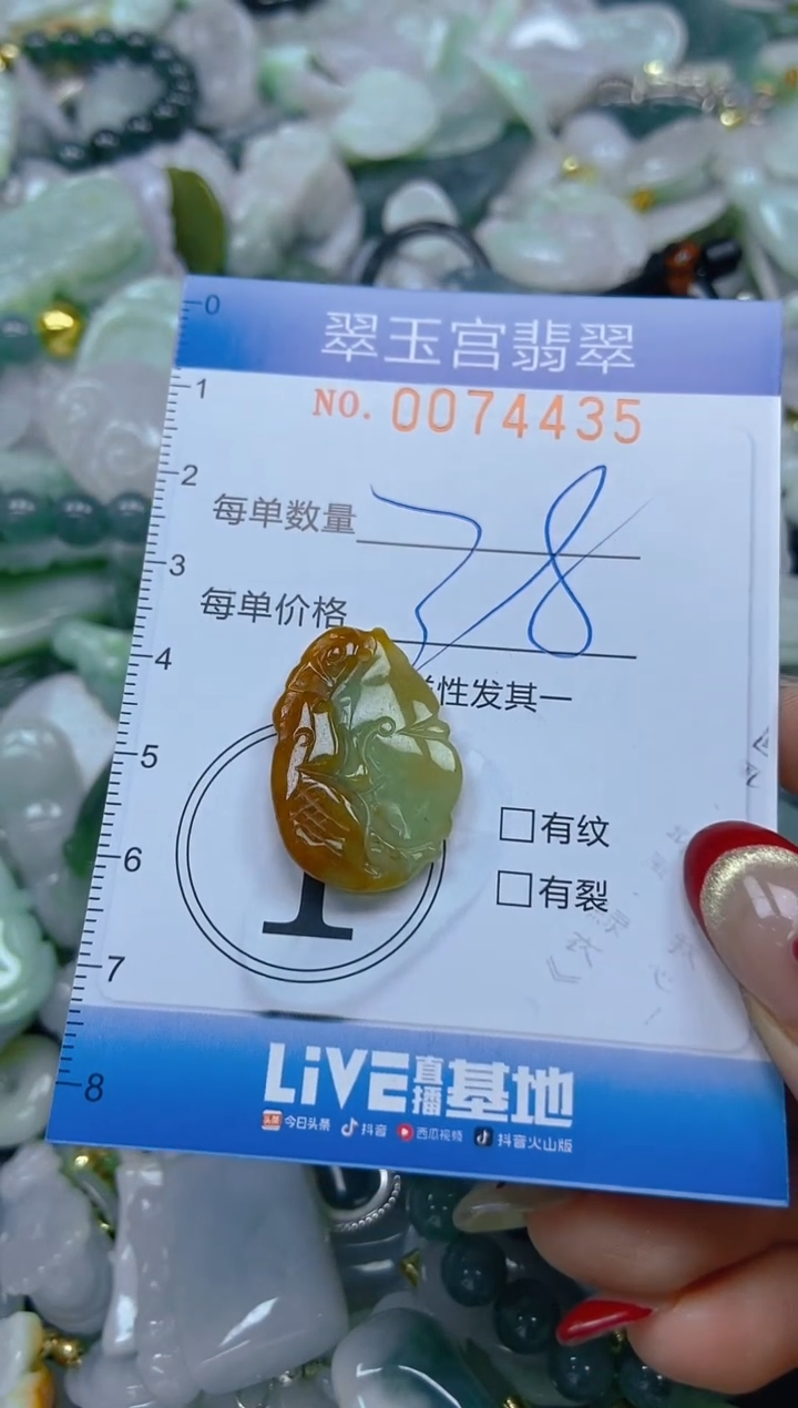 【闪购商品】翡翠颈饰未镶嵌闪购0074435