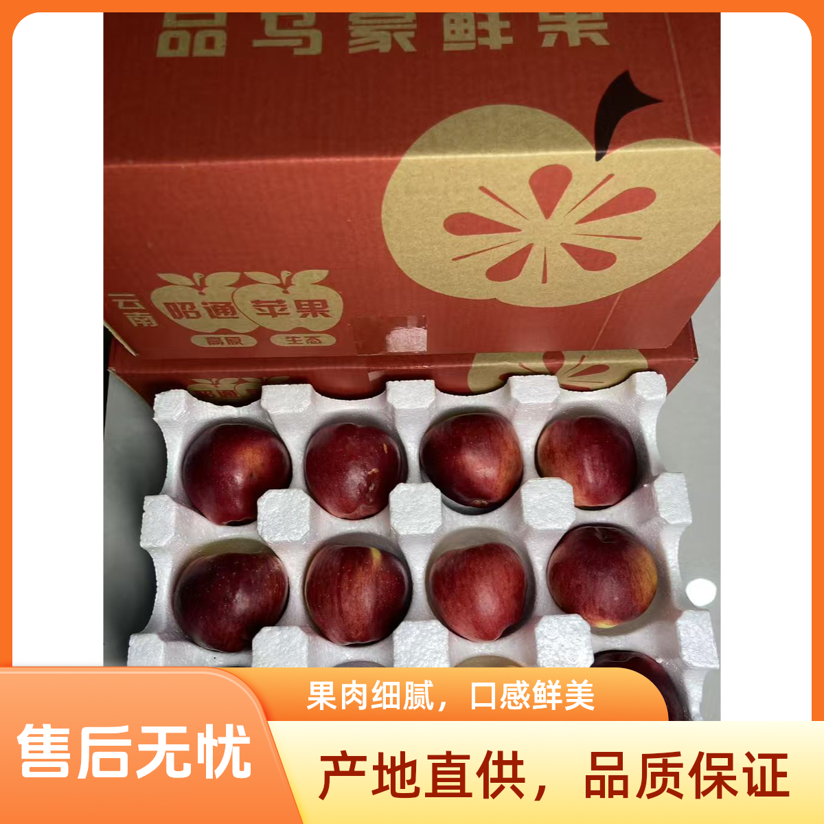 云南省昭通丑苹果