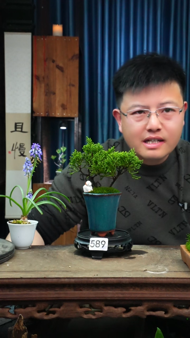 【闪购商品】苔藓微景观589号