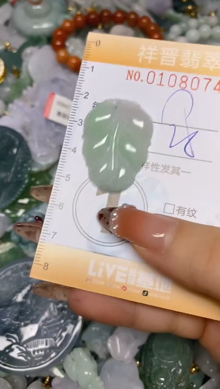 【闪购商品】翡翠颈饰未镶嵌闪购0108074