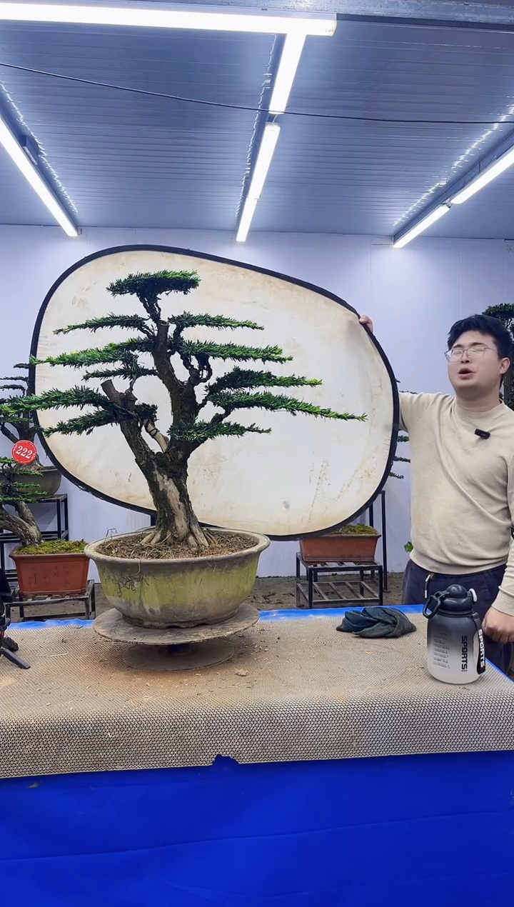 完全开放一物一拍，所见即所得