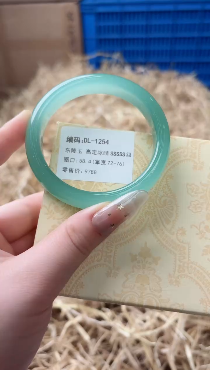 未镶嵌手镯石英质玉DL-1254