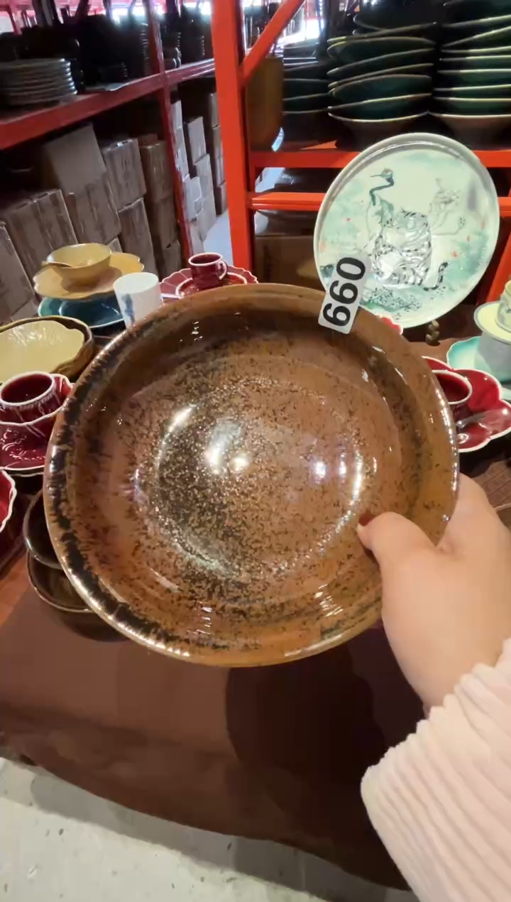 瓷片Y*660鹧鸪斑反边盘