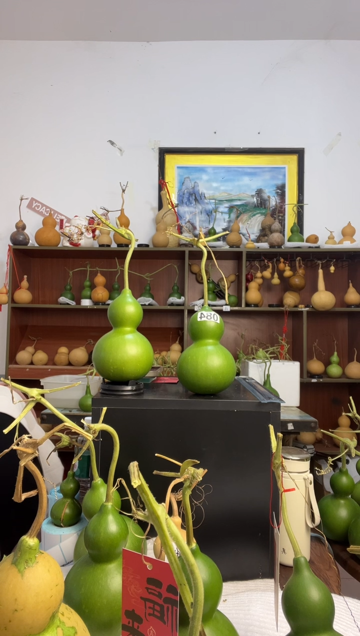 欣*猪084天然葫芦摆件 一物一拍龙头不保售后
