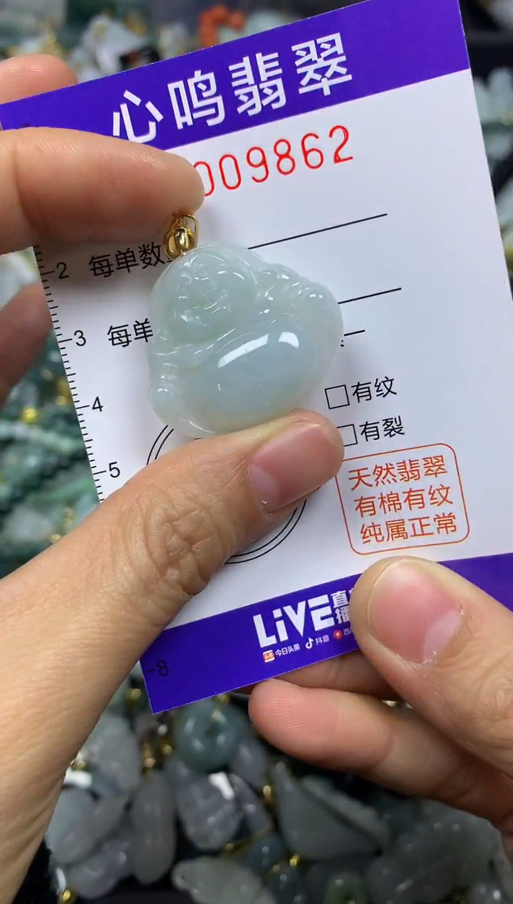 【闪购商品】翡翠颈饰未镶嵌闪购009862
