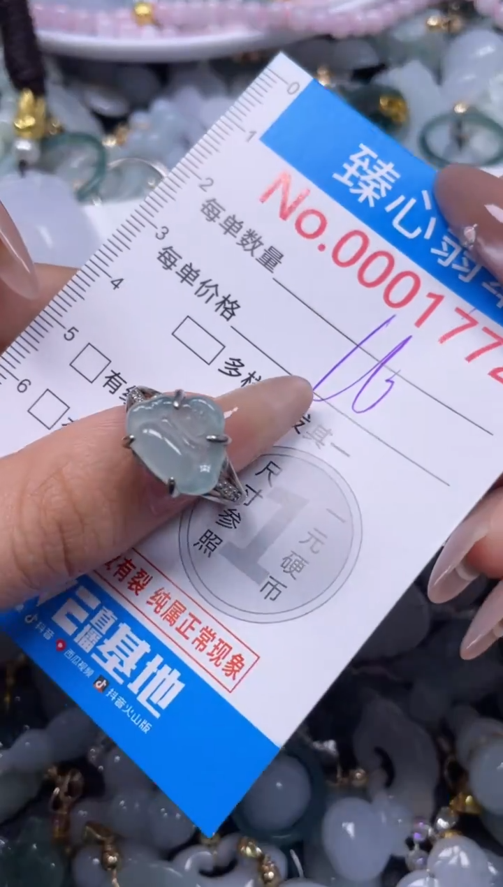 颈饰未镶嵌翡翠1772