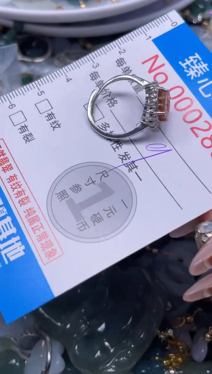 颈饰未镶嵌翡翠2800