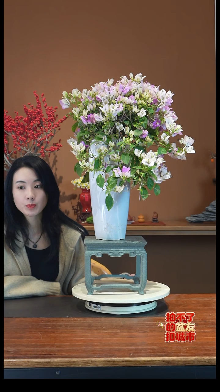 全部花朵学子三角梅