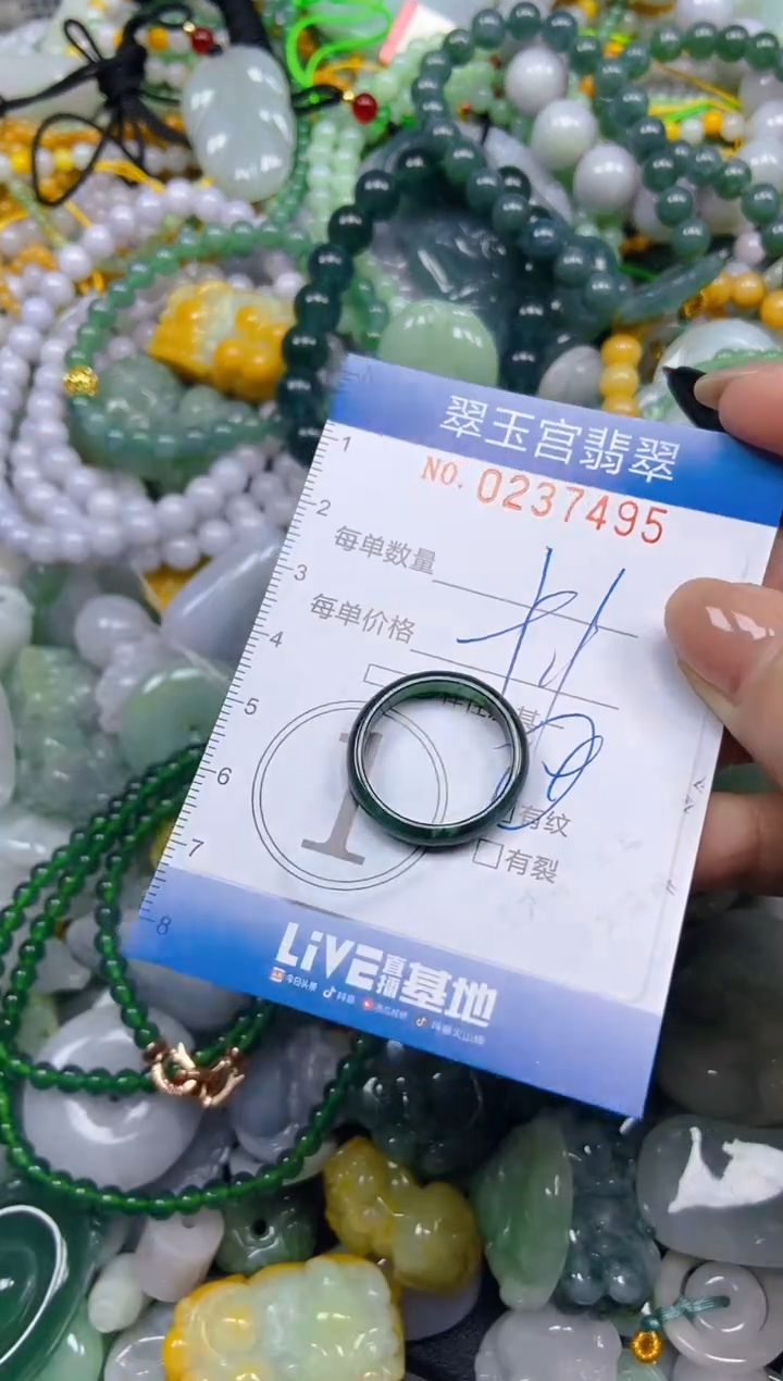 颈饰未镶嵌翡翠闪购C0237495