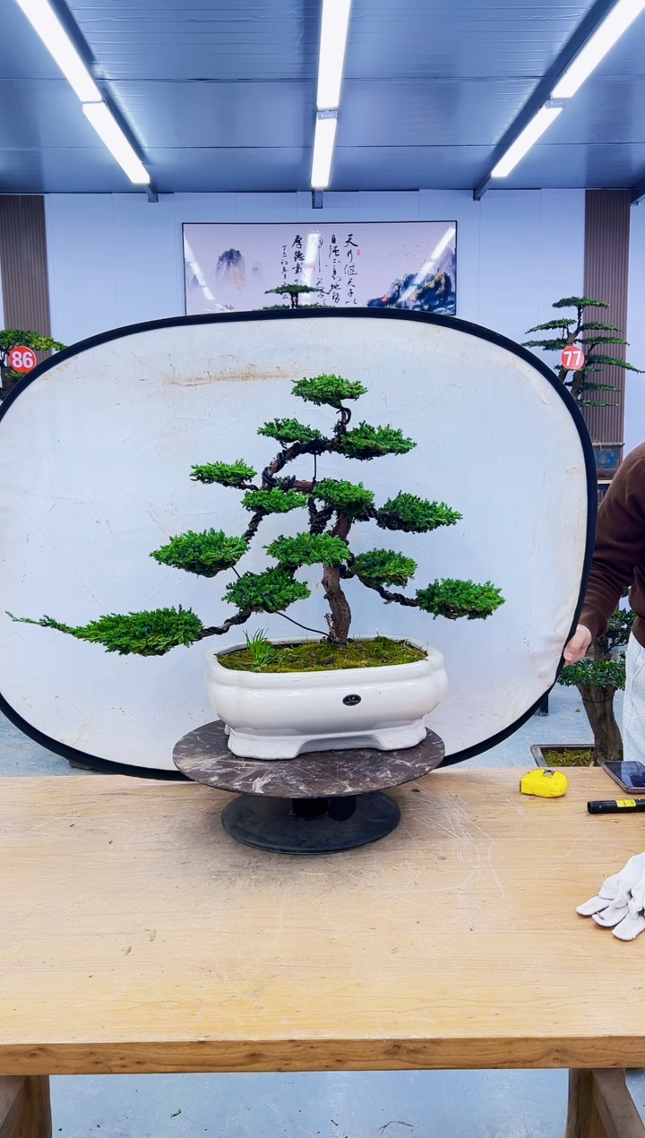 无花朵000000000000000000