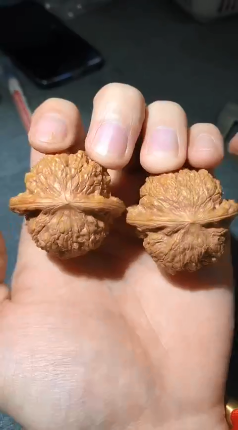 把件文玩核桃微微修打底血麒麟41尺