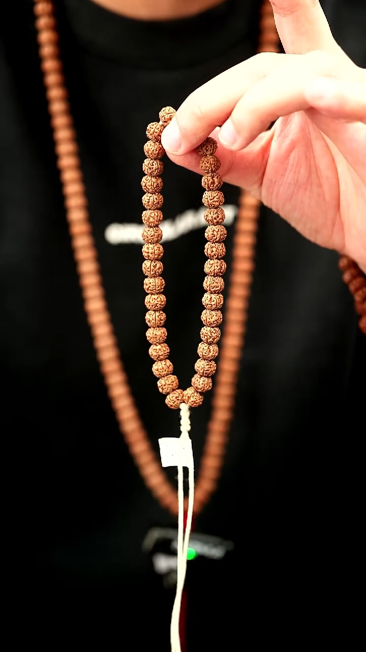 手串金刚菩提9mm葛地里产区原桩盘龙纹单圈无工具