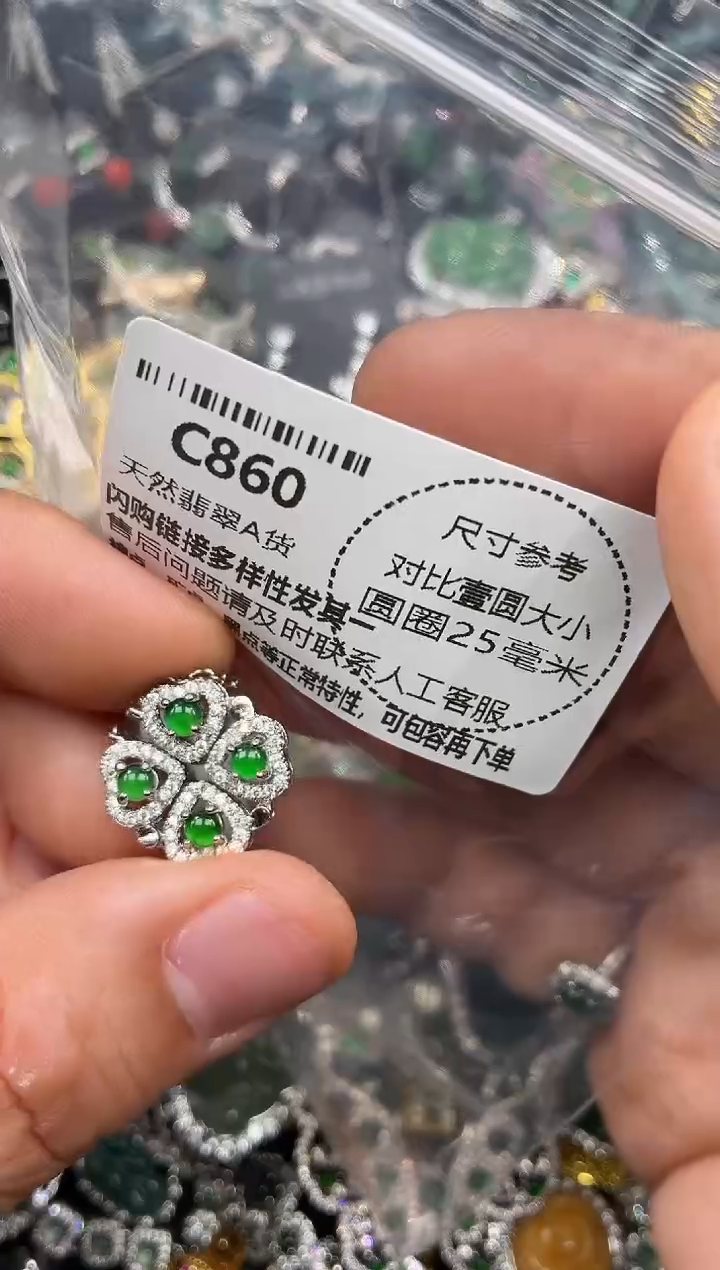 颈饰未镶嵌翡翠C860项链