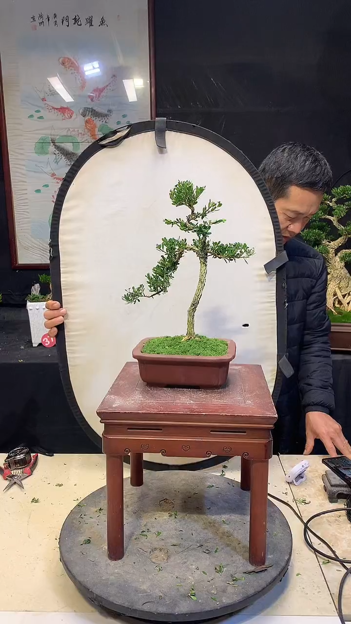 无花朵斌*1111111111