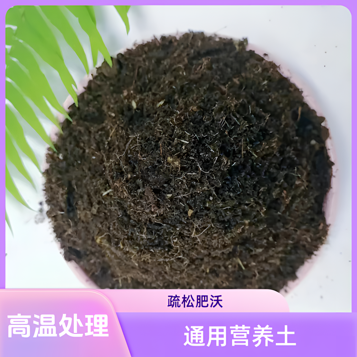 通用型纯腐叶土营养土颗粒土疏松吸收在使用家庭阳台盆栽厂家直销