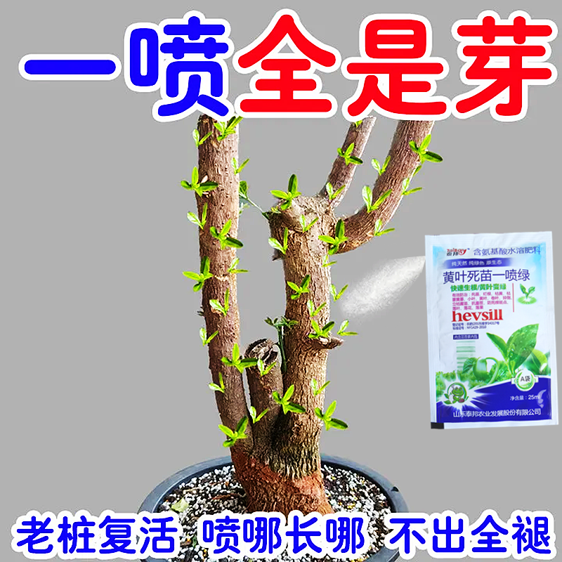 【新芽猛长】老桩催芽剂促芽僵苗快速发新芽防黄叶促花营养复活肥