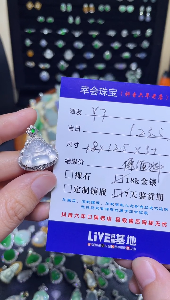 翡翠18K金镶嵌颈饰Y*玻璃种佛公吊坠