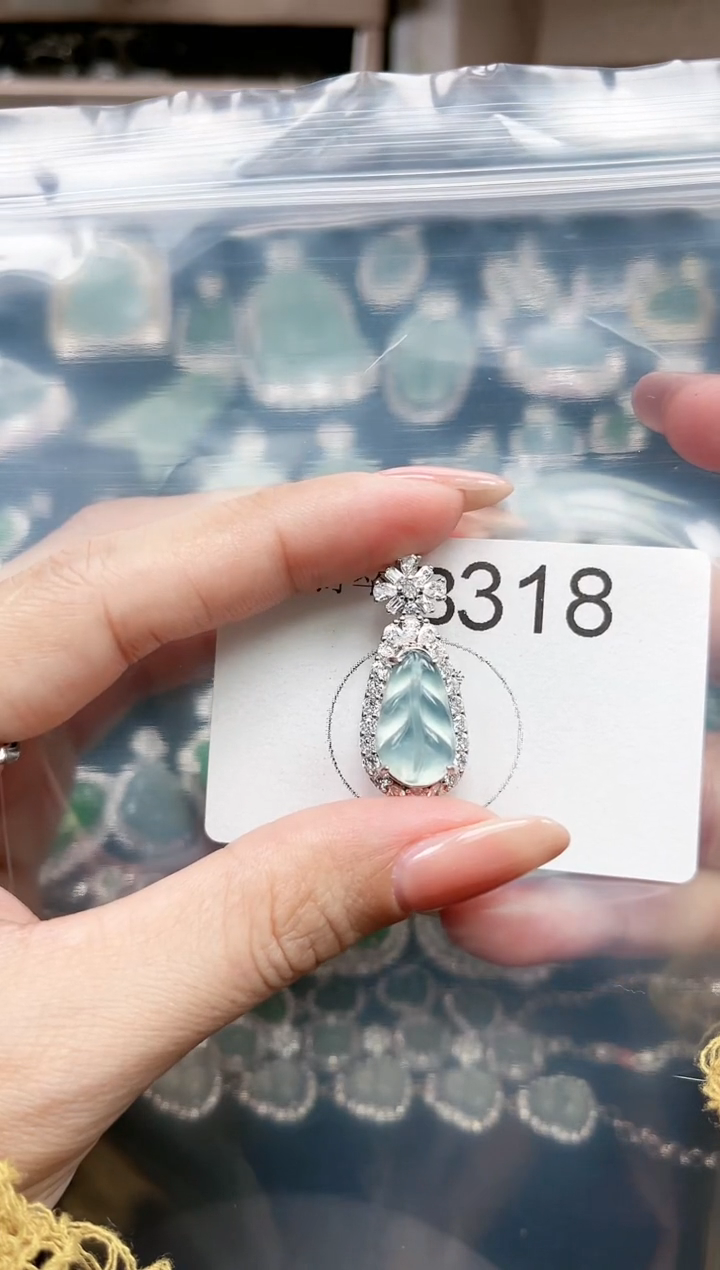 【闪购商品】翡翠颈饰未镶嵌赠皮绳318