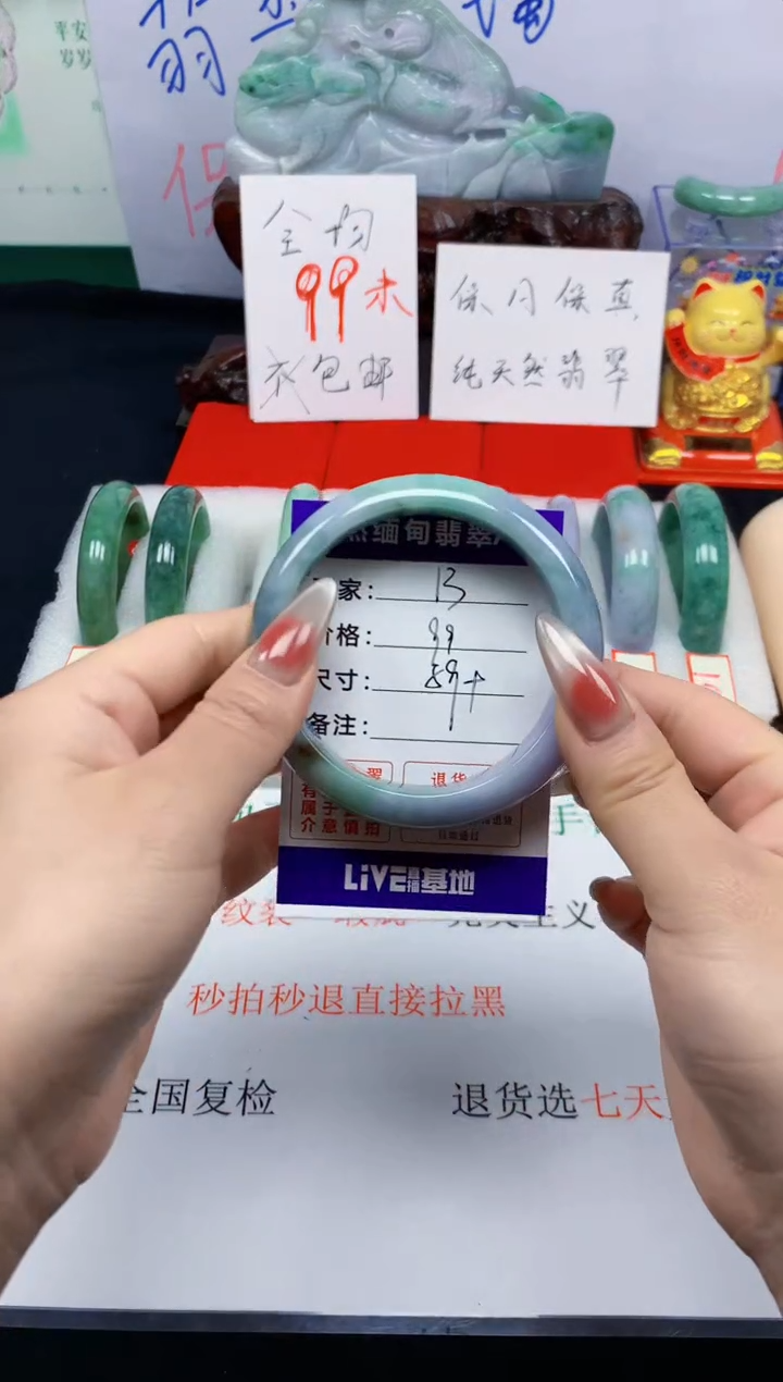 未镶嵌手镯翡翠13