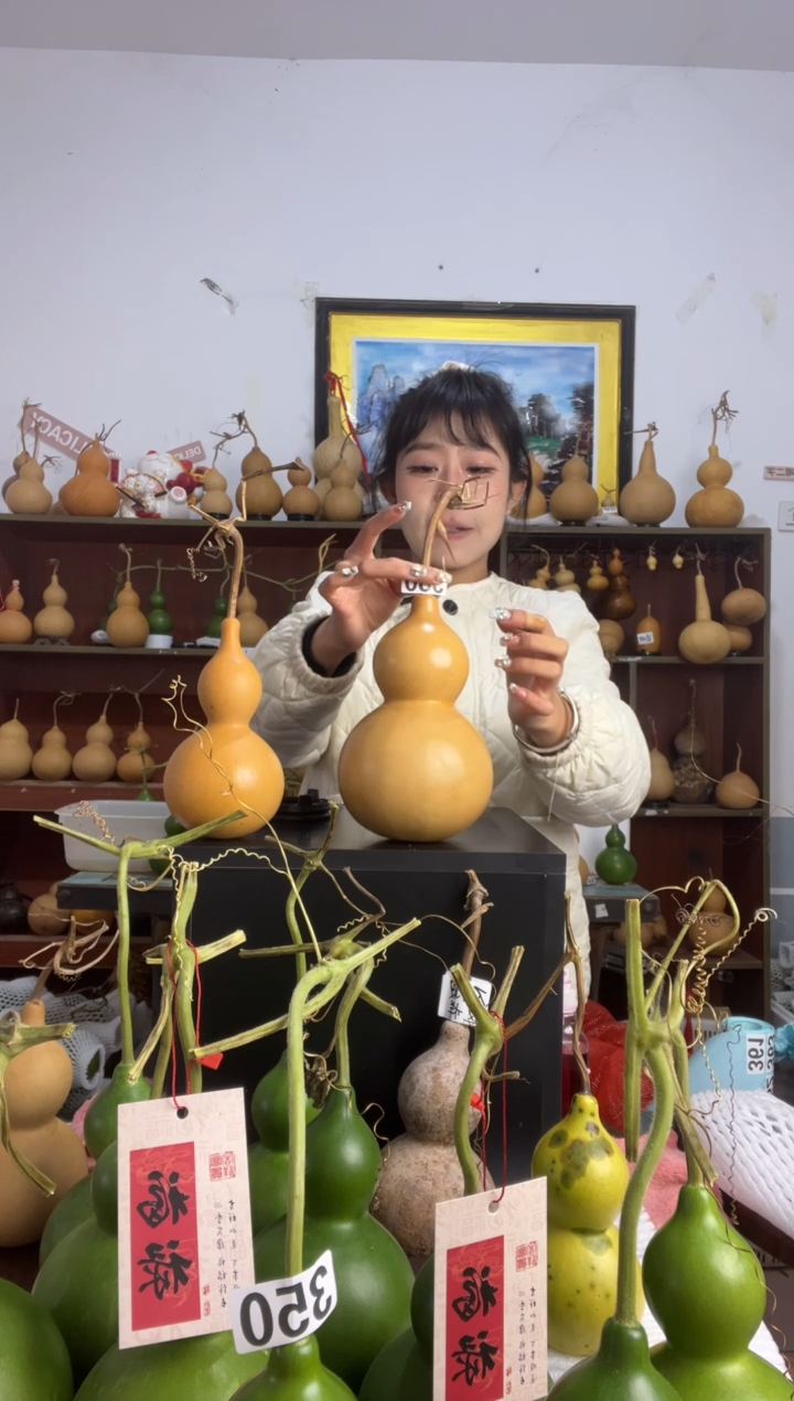 無****N360天然葫芦摆件 一物一拍龙头不保售后
