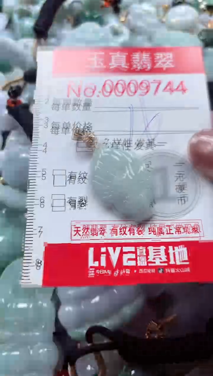 吊坠(不含链)未镶嵌翡翠9744