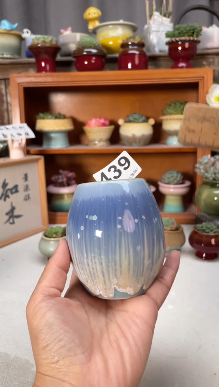 瓷片439知木小方花盆编号