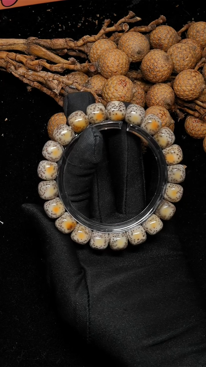 手串星月菩提11*10尺寸牛眼通体火烧-A028-7