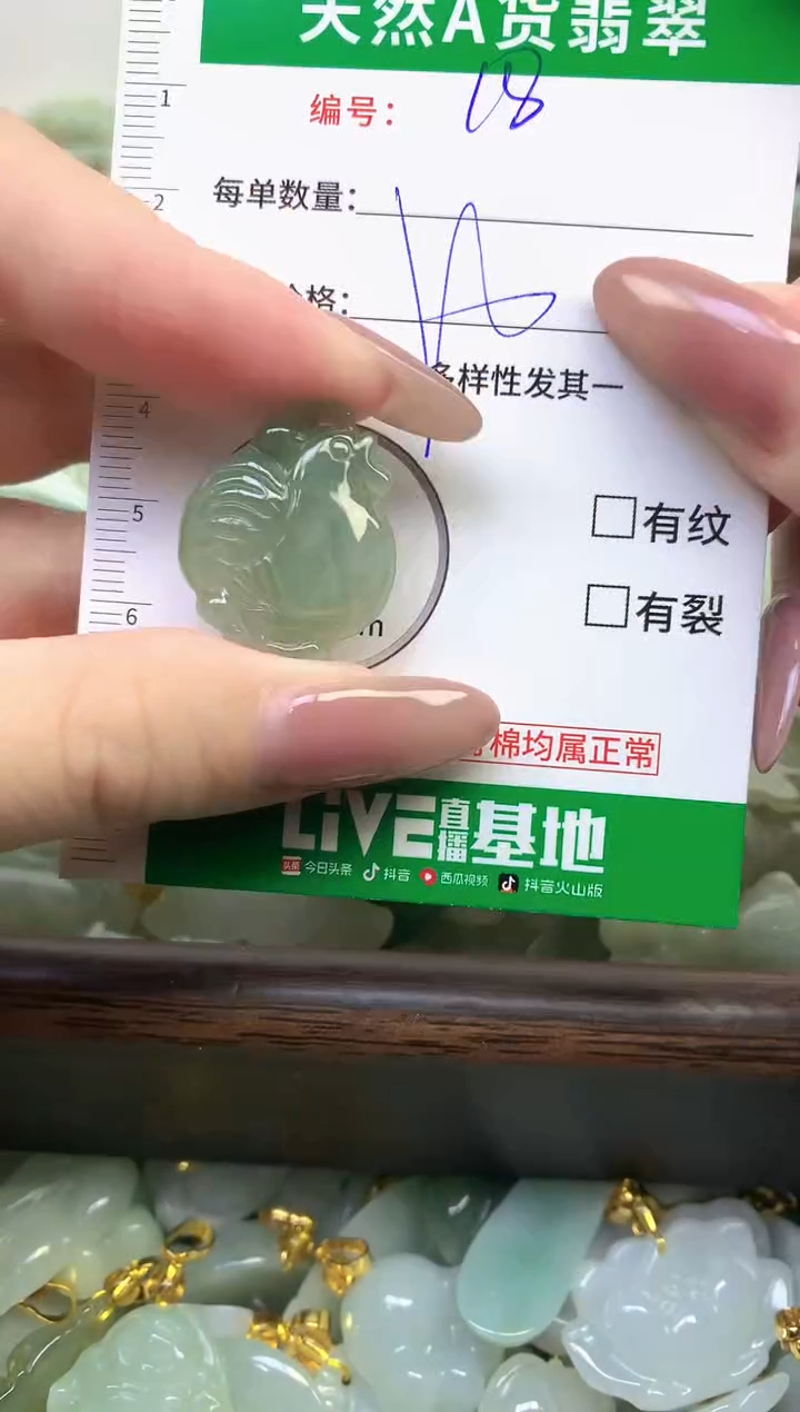 颈饰未镶嵌翡翠纯天然缅甸A货翡翠