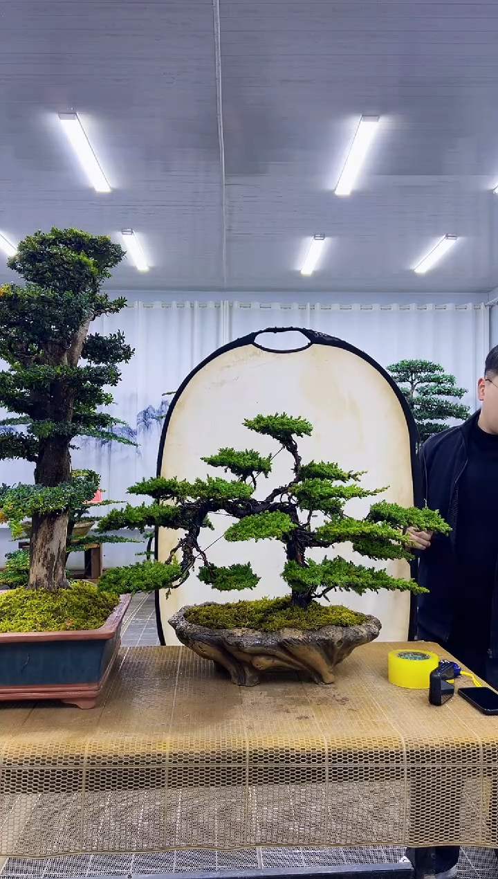 无花朵000000000000000