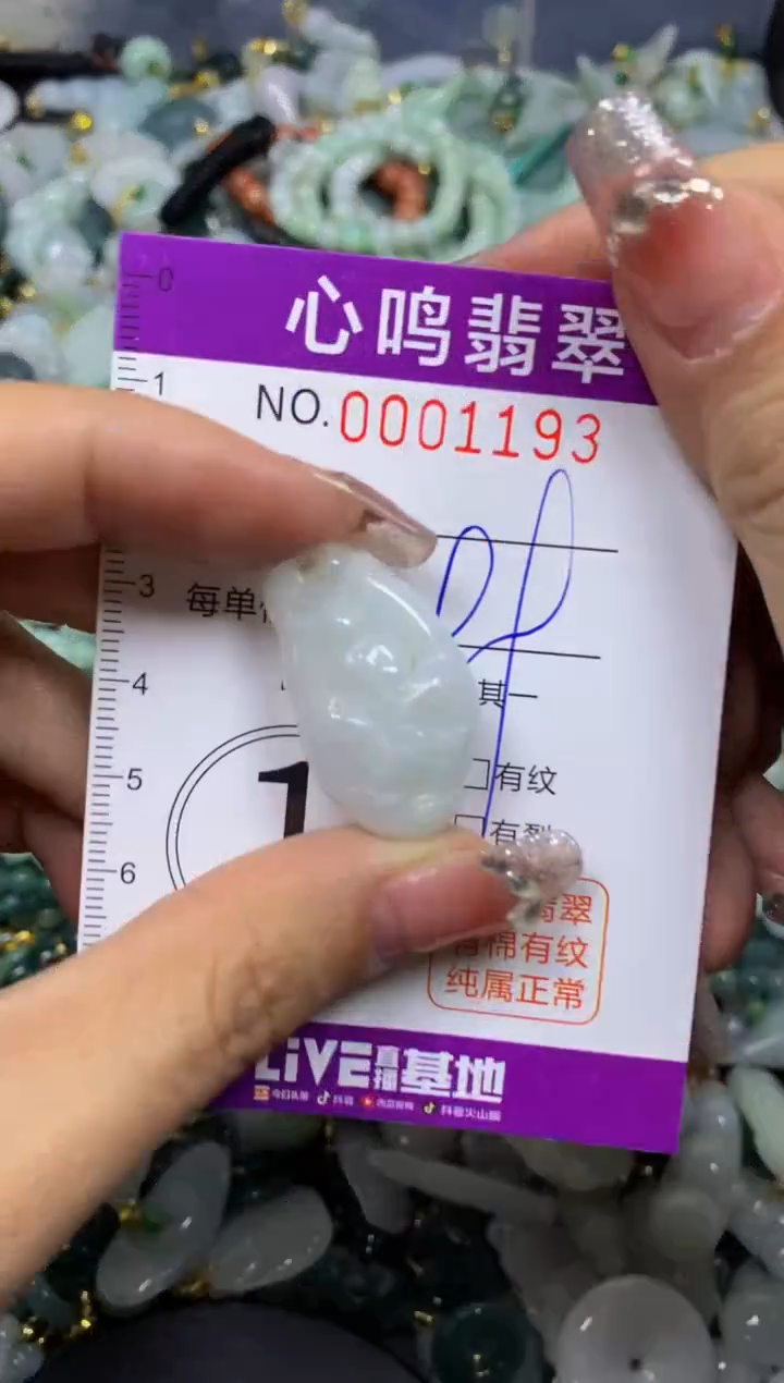 【闪购商品】翡翠颈饰未镶嵌闪购001193