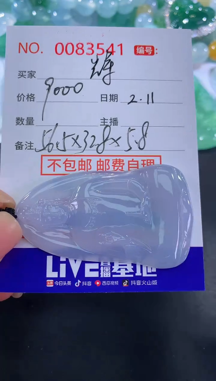 【闪购商品】翡翠颈饰未镶嵌辉
