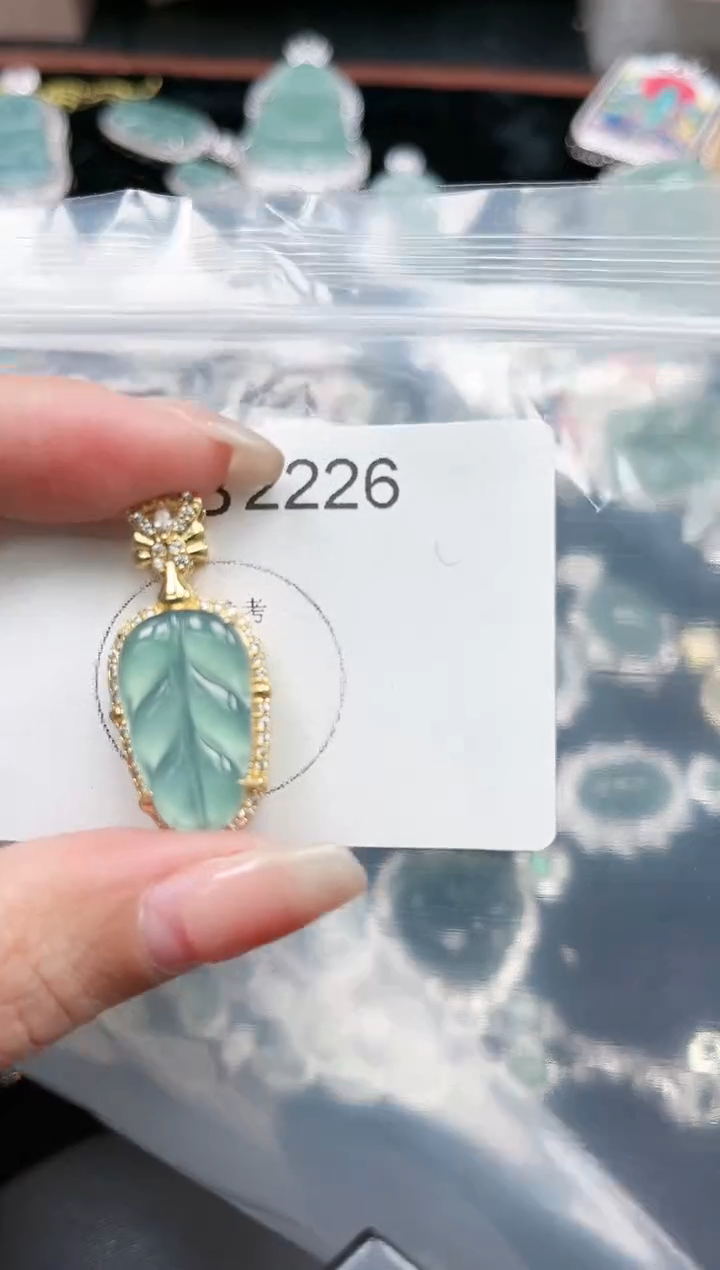 【闪购商品】翡翠颈饰未镶嵌赠皮绳2226