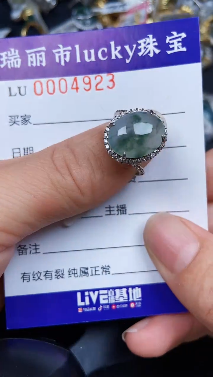 翡翠银S925镶嵌颈饰4923