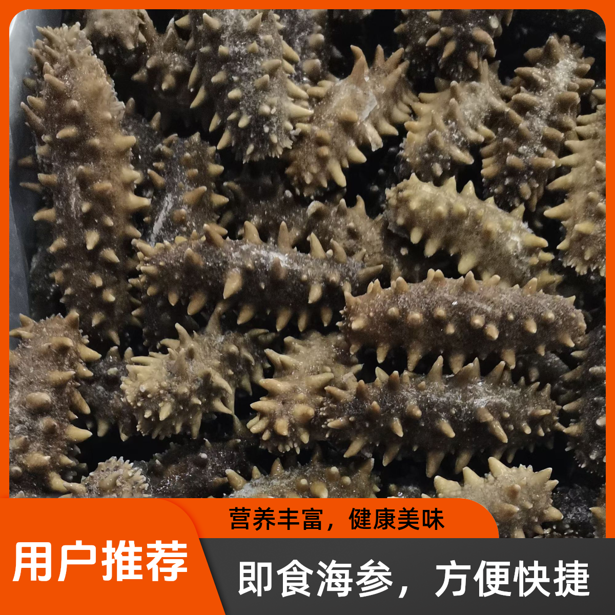 君先参即食海参15-20头3斤-4斤 精选海域底播辽刺参 口感Q弹 滋补