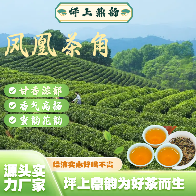 2025年 头春凤凰单丛茶角   山韵味足 香气馥郁 介意茶型慎拍