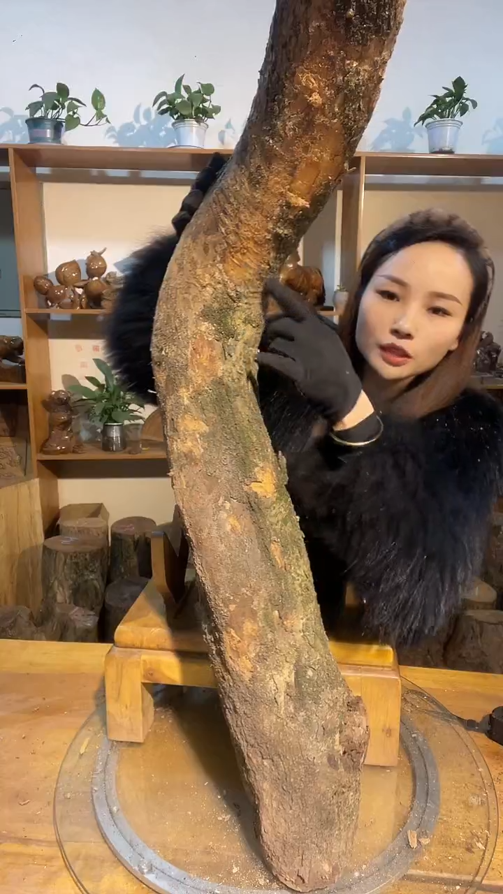 阿祥金丝楠木闪购链接