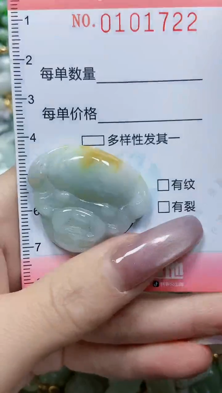 【闪购商品】翡翠颈饰未镶嵌闪购0101722