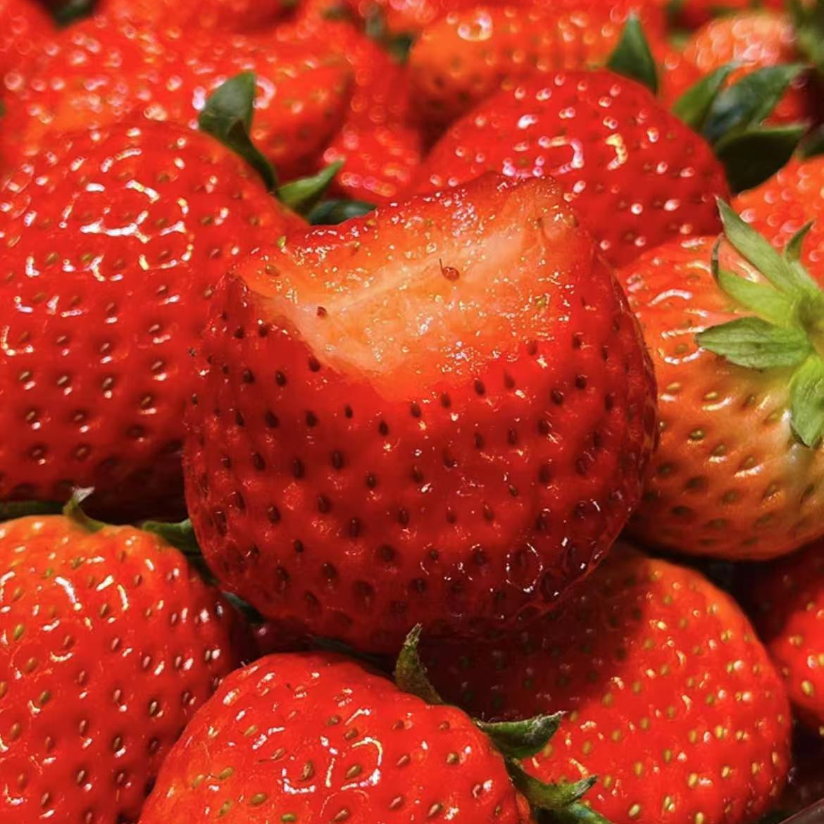 【2盒】好吃的丹东红颜99草莓2盒 （300g/盒）