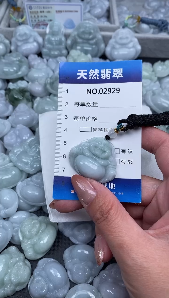 颈饰未镶嵌翡翠纯天然A货翡翠2929