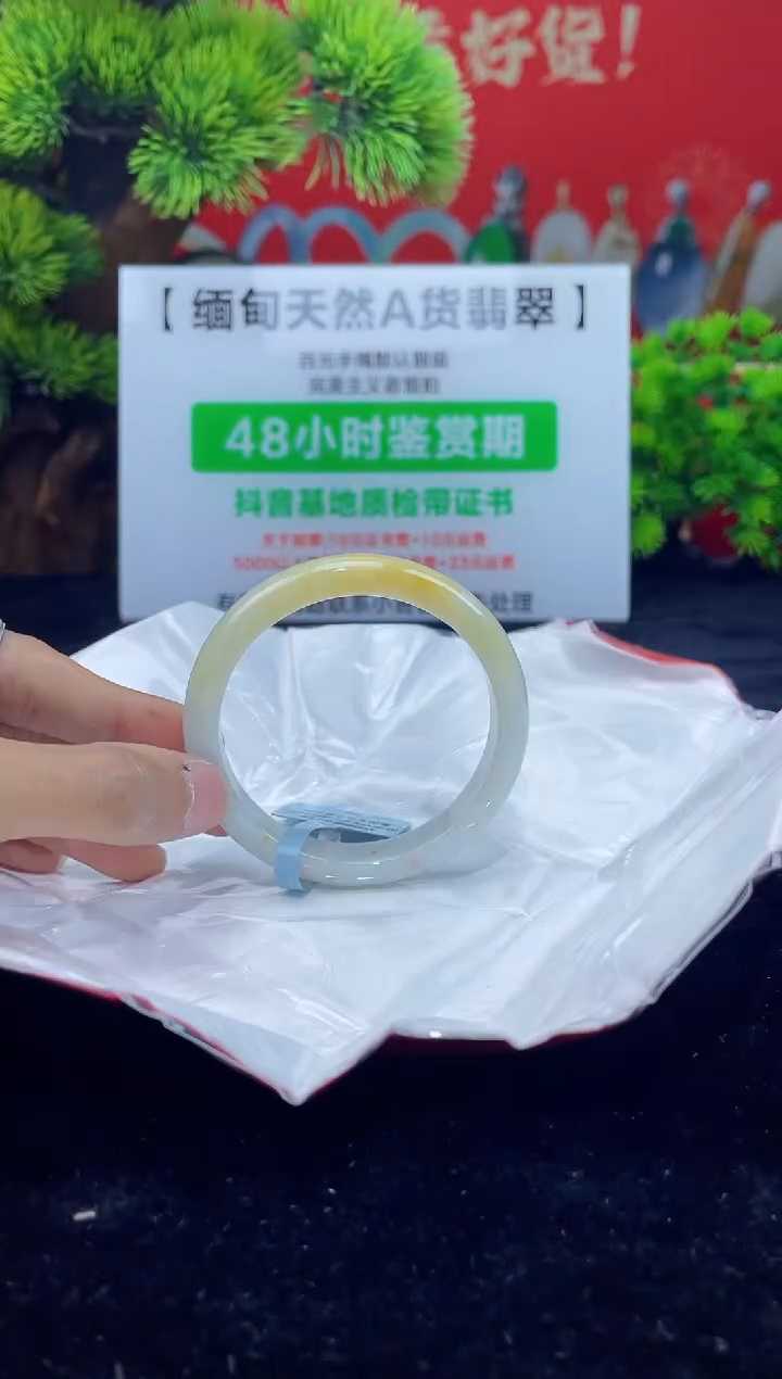 【闪购商品】翡翠手镯未镶嵌6手镯