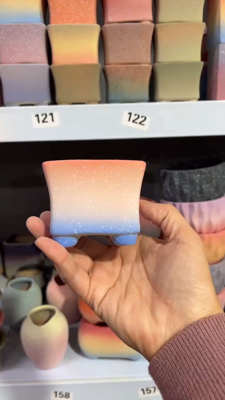 【闪购商品】红陶7*8