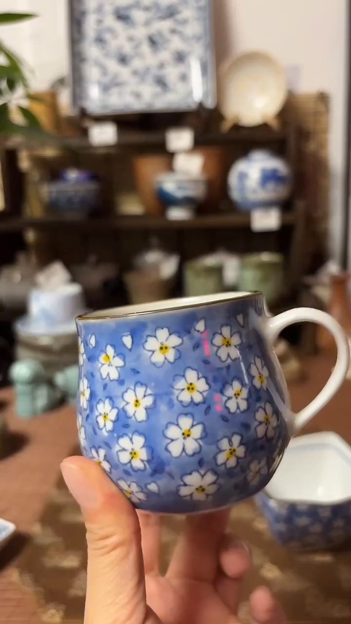 【闪购商品】瓷片喵喵家都是大漂亮