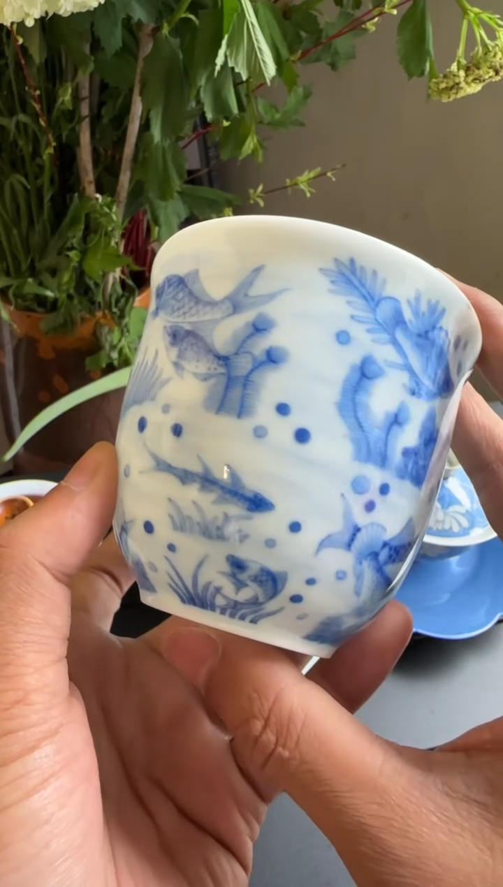 荣器 鱼藻水滴公道